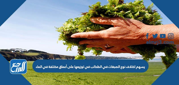 يسهم اختلاف نوع الصبغات في الطحالب في توزيعها على أعماق مختلفة في الماء.