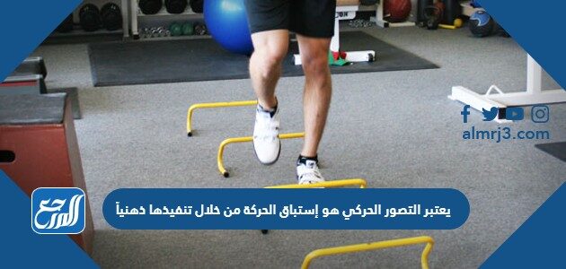 يعتبر التصور الحركي هو إستباق الحركة من خلال تنفيذها ذهنياً