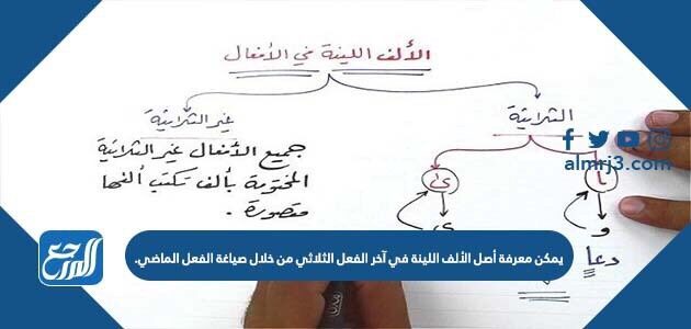 يمكن معرفة أصل الألف اللينة في آخر الفعل الثلاثي من خلال صياغة الفعل الماضي