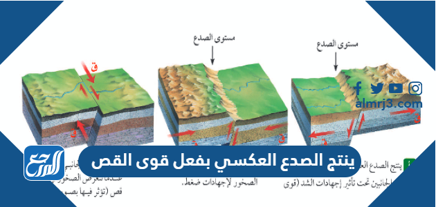 ينتج الصدع العكسي بفعل قوى القص