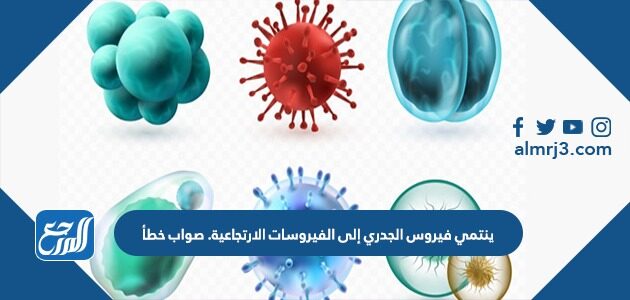 ينتمي فيروس الجدري إلى الفيروسات الارتجاعية. صواب خطأ