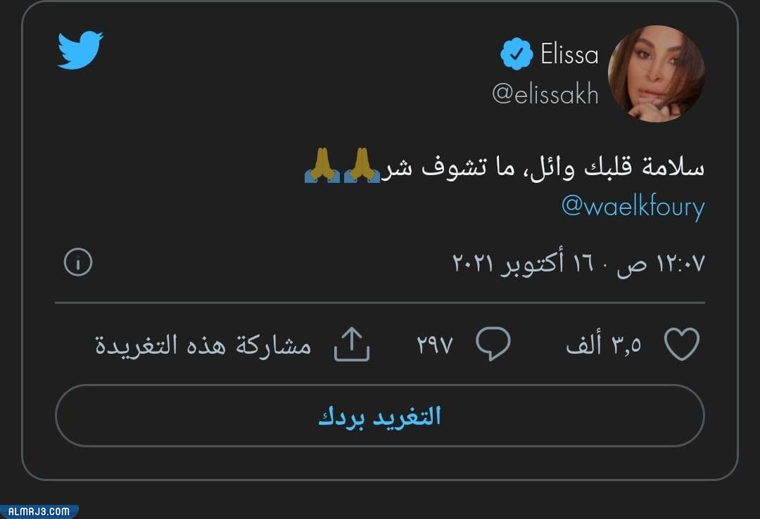 تغريدة إليسا عن حادث وائل كفوري