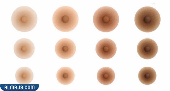 The shape of the nipples at the beginning of pregnancy with pictures