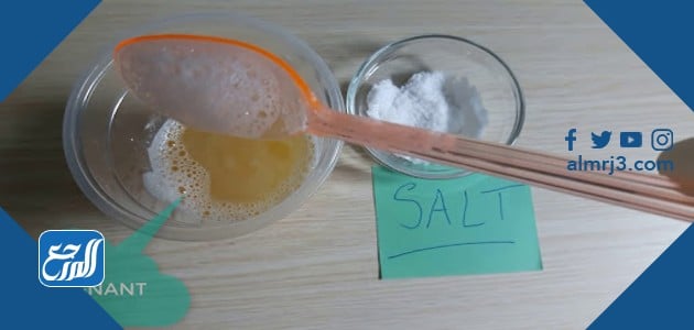 Knowing the result of pregnancy with salt
