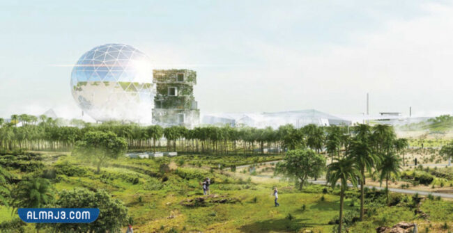 صورة حديقة الملك سلمان