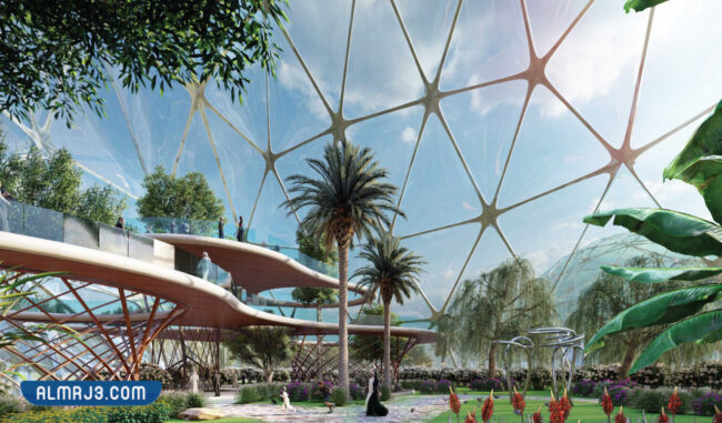 صورة حديقة الملك سلمان