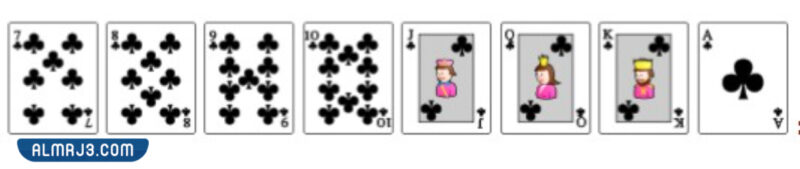 شرح طريقة لعب البلوت بالتفصيل والصور