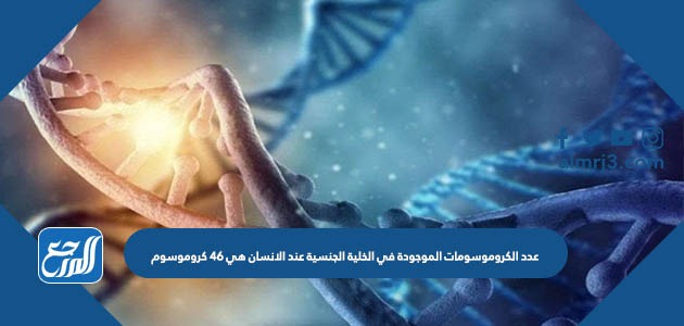 عدد الكروموسومات الموجودة في الخلية الجنسية عند الانسان هي 46 كروموسوم