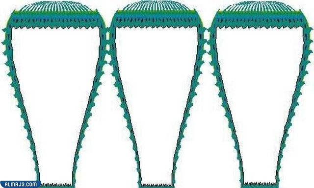 مطويات رياضيات فارغة جاهزة للكتابة