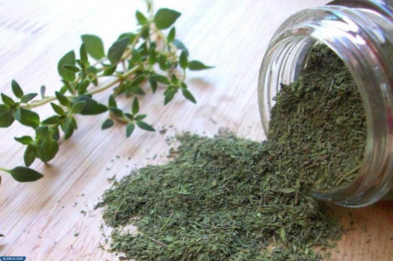 زعتر برى "اوريجانو" Oregano