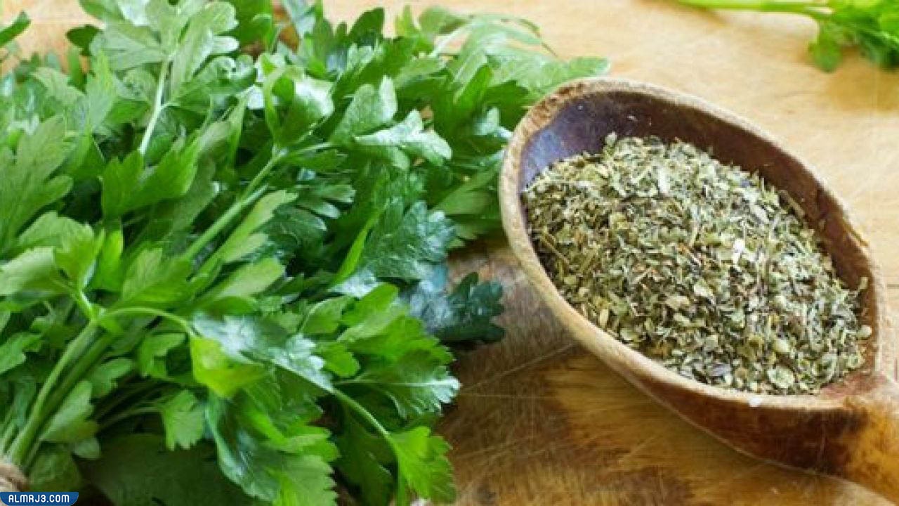 بقدونس Parsley