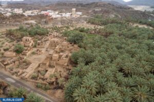 أين تقع بيشة على الخريطة