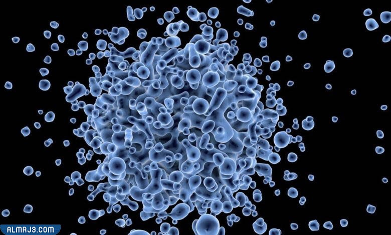 مضاعفات فيروس hpv