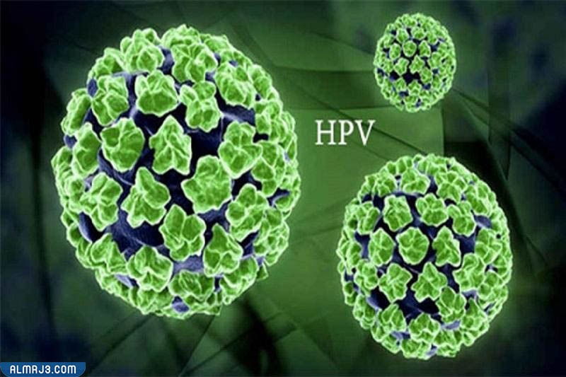 كيفية تقوية المناعة لمواجهة فيروس hpv