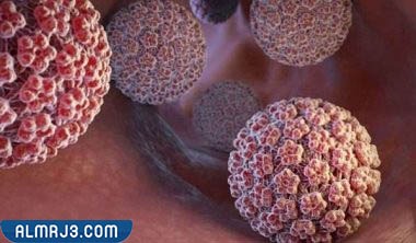 هل يمكن الشفاء من فيروس hpv للرجال