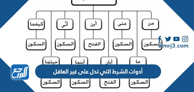 أدوات الشرط التي تدل على غير العاقل