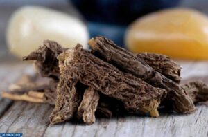 ما هي عشبة القسط الهندي