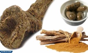 كيفية تجنب أضرار القسط الهندي على الكلى