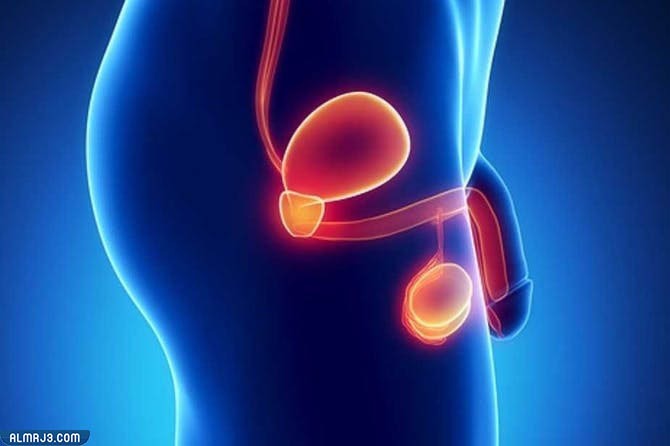 أعراض الإصابة باحتقان البروستاتا