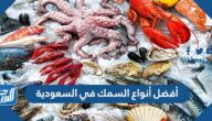 أفضل أنواع السمك في السعودية 2022