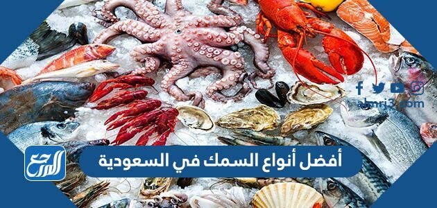 أنواع السمك في السعودية