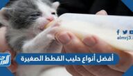 أفضل أنواع حليب القطط الصغيرة