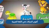 أقوى الحركات في اللغة العربية بالترتيب