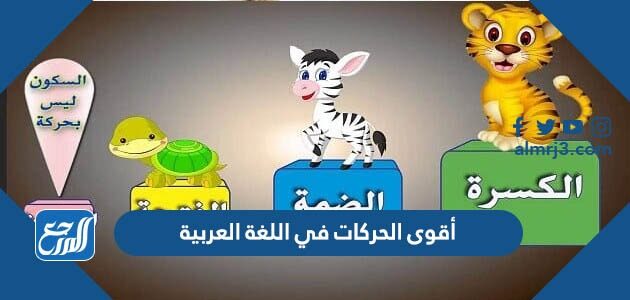 أقوى الحركات في اللغة العربية بالترتيب أقوى الحركات في اللغة العربية بالترتيب