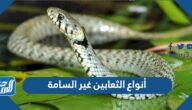 أنواع الثعابين غير السامة
