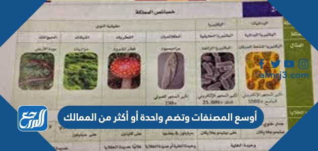 أوسع المصنفات وتضم واحدة أو أكثر من الممالك