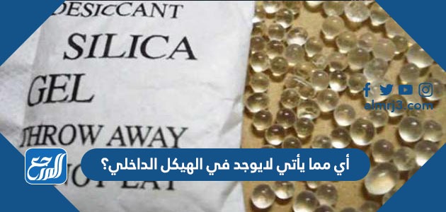 أي مما يأتي لايوجد في الهيكل الداخلي؟