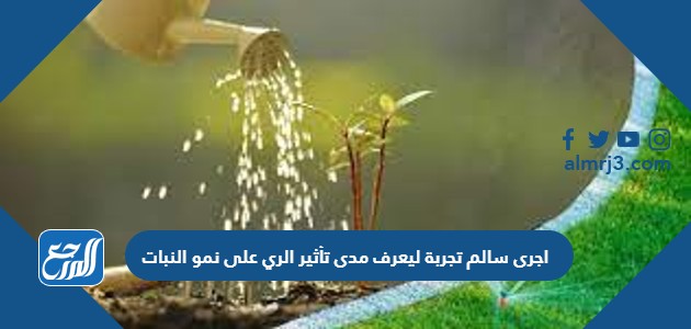 اجرى سالم تجربة ليعرف مدى تأثير الري على نمو النبات
