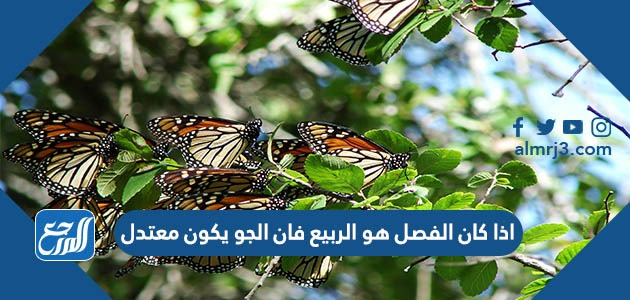 اذا كان الفصل هو الربيع فان الجو يكون معتدل