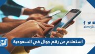 استعلام عن رقم جوال في السعودية بالاسم ورقم الهوية 1447