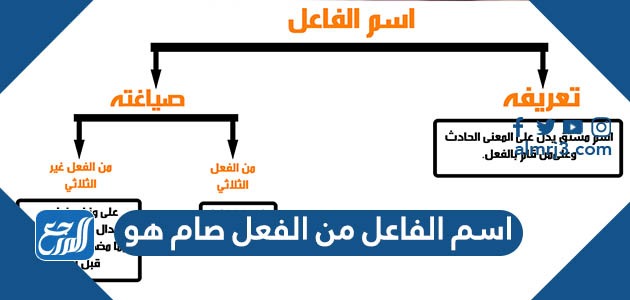 اسم الفاعل من الفعل صام هو