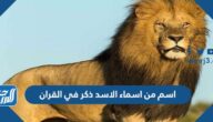 اسم من اسماء الاسد ذكر في القرآن