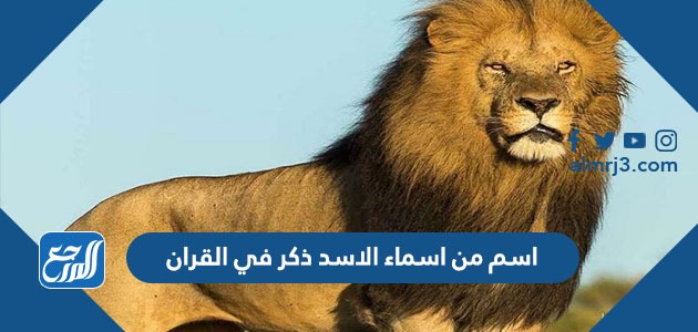 اسم من اسماء الاسد ذكر في القرآن