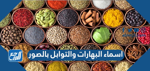 اسماء البهارات والتوابل بالصور