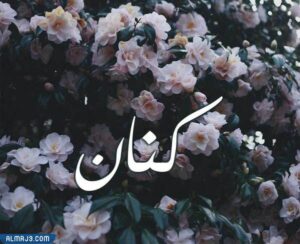 صور اسماء اولاد بدوية خليجية 2021