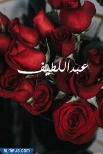 صور اسماء اولاد بدوية خليجية 2021