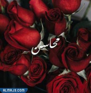 صور أسماء بنات بحرف الميم مزخرفة