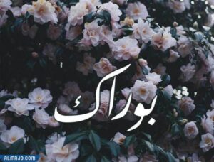 صور اسماء توائم ولد وبنت تركية 2021