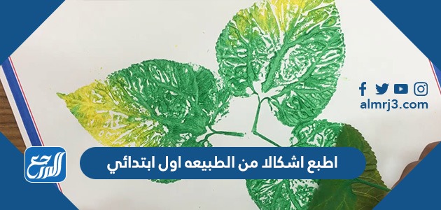 اطبع اشكالا من الطبيعه اول ابتدائي