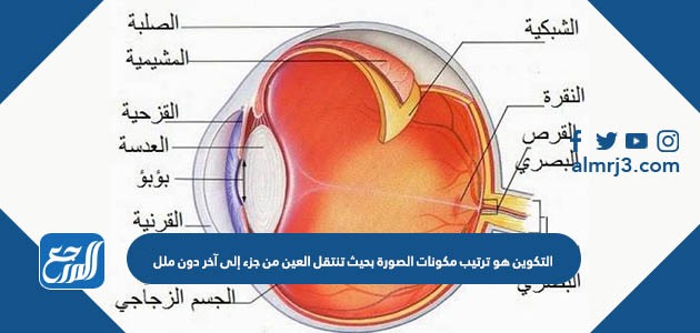 التكوين هو ترتيب مكونات الصورة بحيث تنتقل العين من جزء إلى آخر دون ملل
