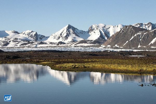 بحث عن المناطق الحيوية البرية كامل بالصور