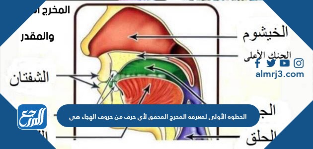 الخطوة الأولى لمعرفة المخرج المحقق لأي حرف من حروف الهجاء هي