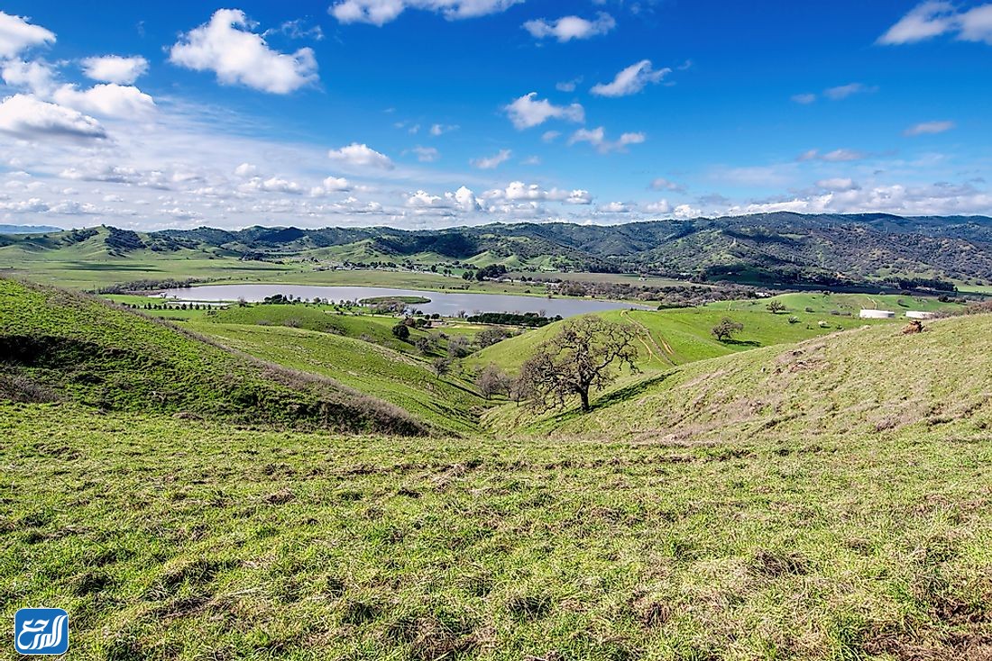 الغابات الحرجية