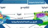 الفرق بين الخلية النباتية والحيوانية