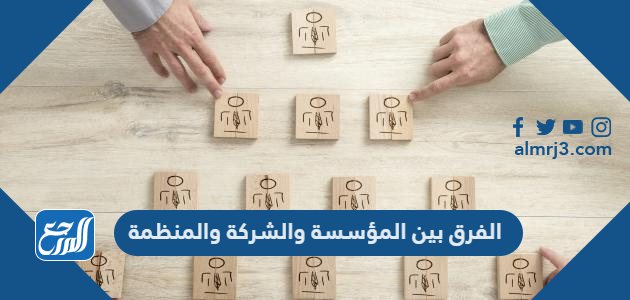 الفرق بين المؤسسة والشركة والمنظمة