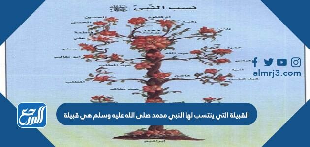 القبيلة التي ينتسب لها النبي محمد صلى الله عليه وسلم هي قبيلة